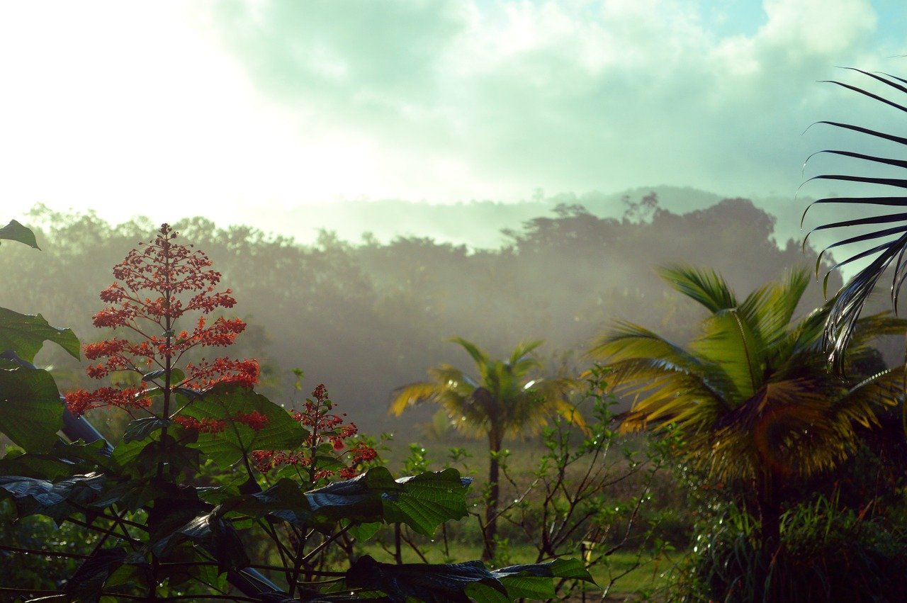 Cinq choses à savoir sur la Guyane française